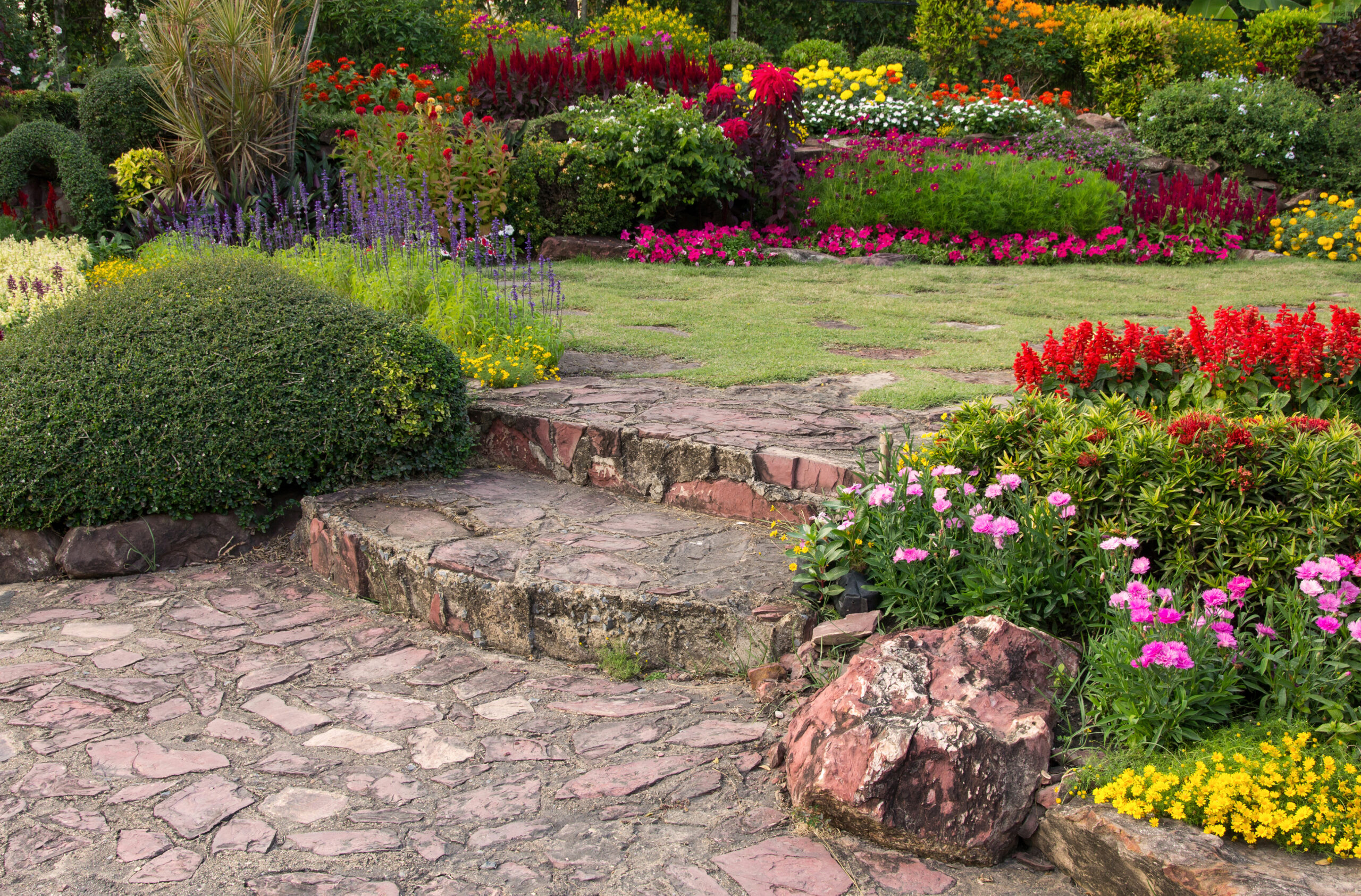 paver steps leading to a colorful flower in the garden